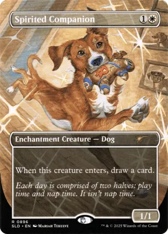 Spirited Companion