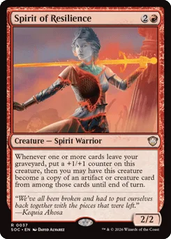 Spirit of Resilience