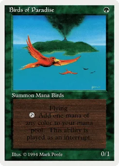 Birds of Paradise