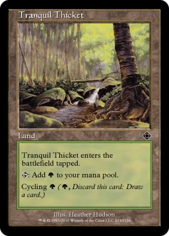 Tranquil Thicket