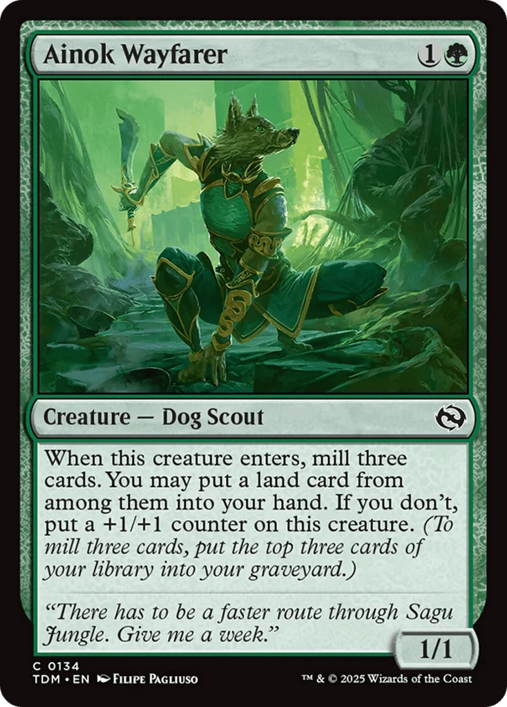 Ainok Wayfarer · Tarkir: Dragonstorm