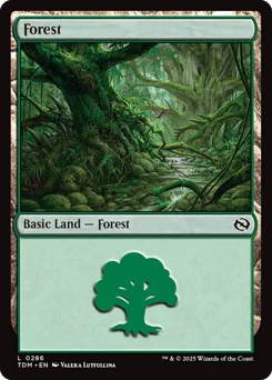 Forest