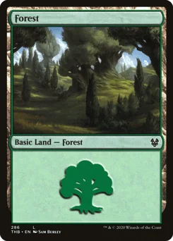 Forest