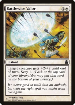 Battlewise Valor