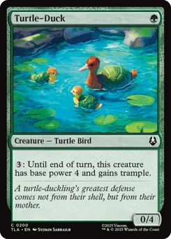 Turtle-Duck