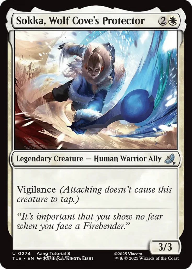 Sokka, Wolf Cove's Protector · Avatar: The Last Airbender Eternal