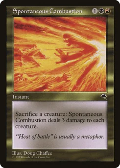 Spontaneous Combustion