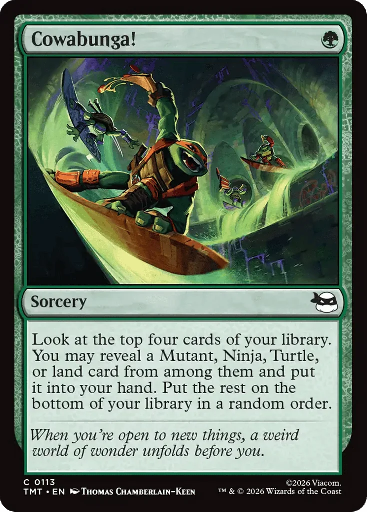 Cowabunga! · Teenage Mutant Ninja Turtles