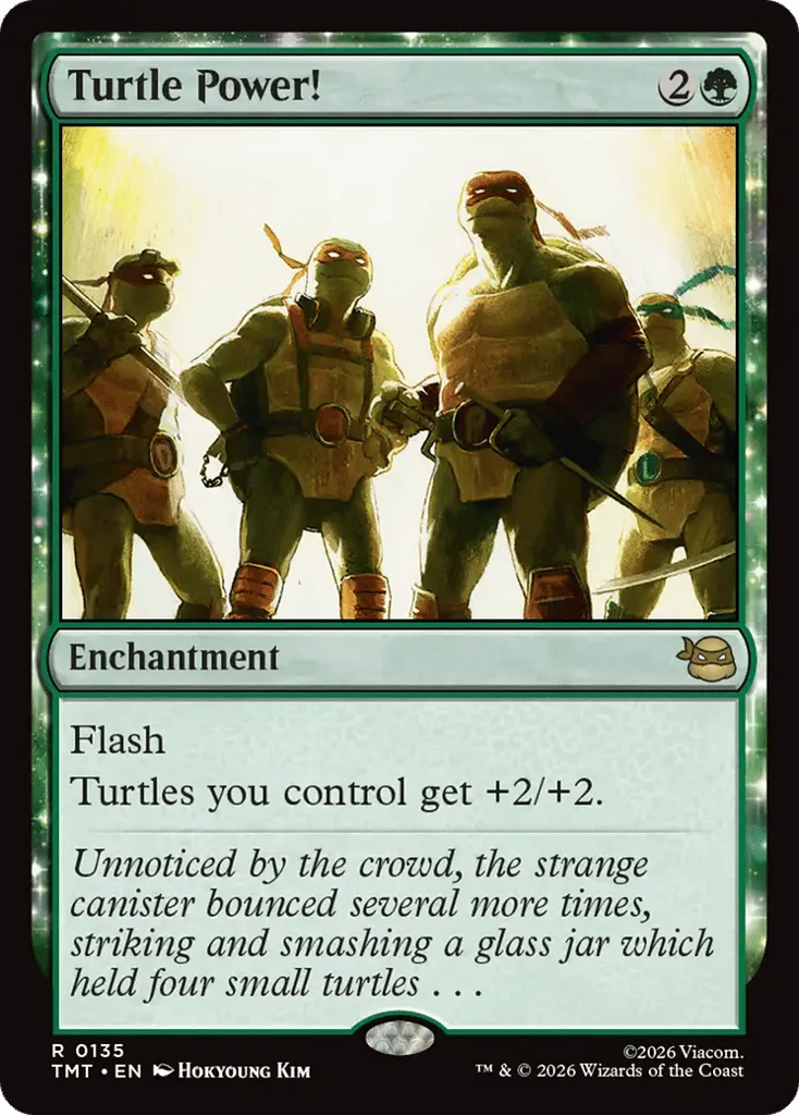 Turtle Power! · Teenage Mutant Ninja Turtles