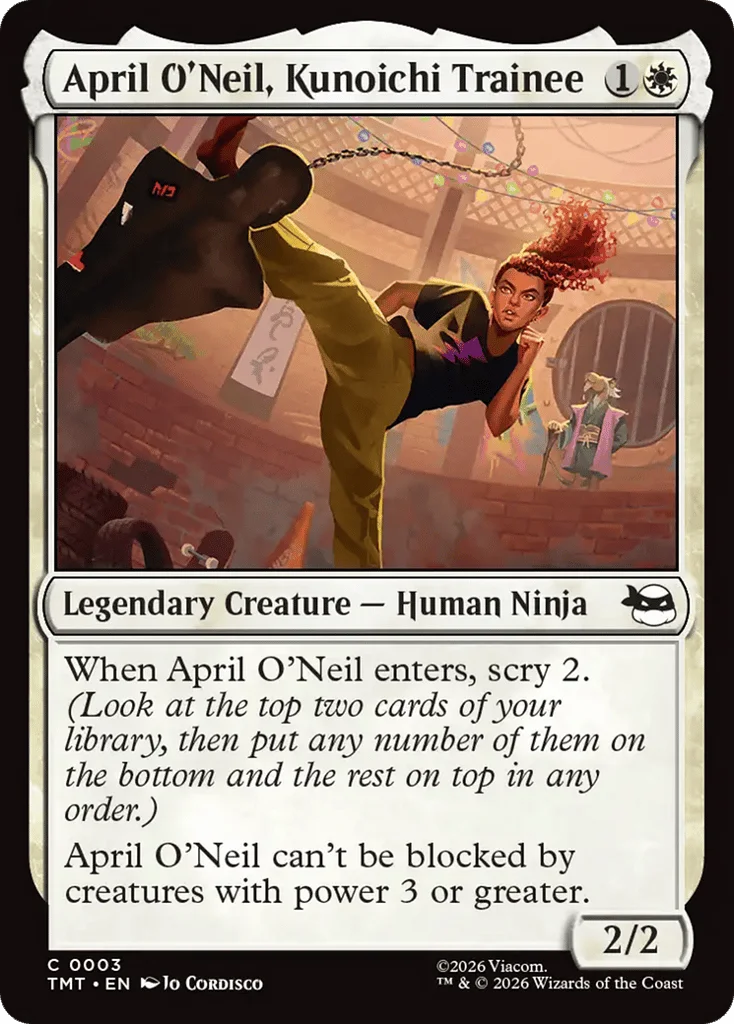 April O'Neil, Kunoichi Trainee · Teenage Mutant Ninja Turtles