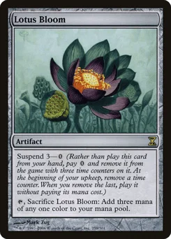 Lotus Bloom