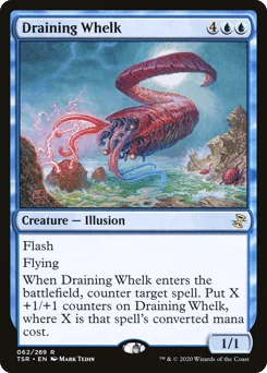 Draining Whelk