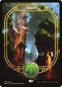 Forest
