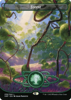 Forest
