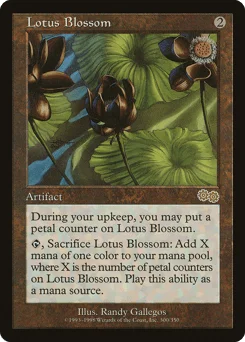 Lotus Blossom