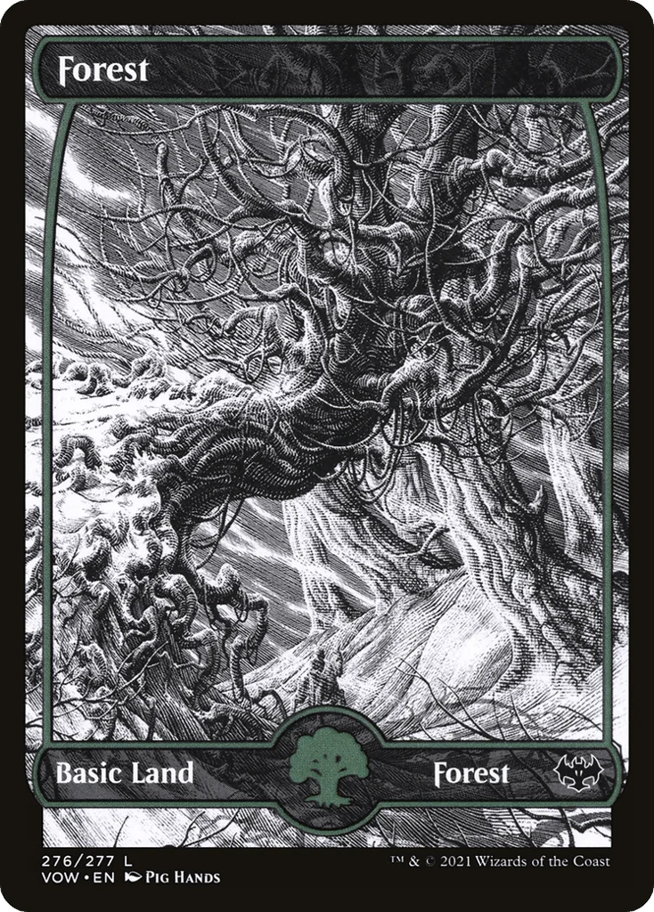 Forest · Innistrad: Crimson Vow