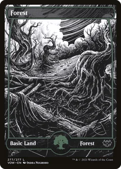 Forest