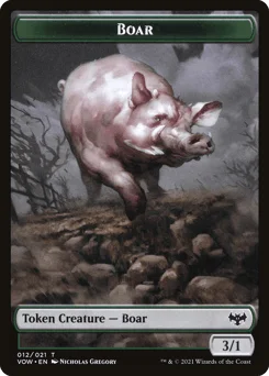 Boar
