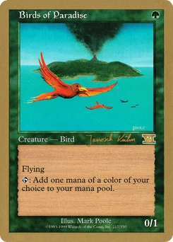 Birds of Paradise