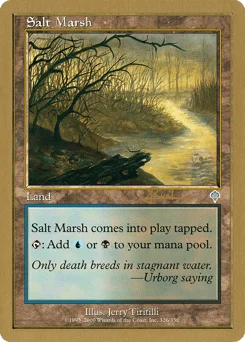 Salt Marsh
