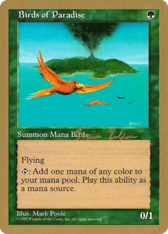 Birds of Paradise