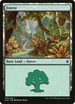 Forest