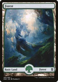 Forest