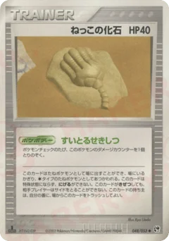 ねっこの化石