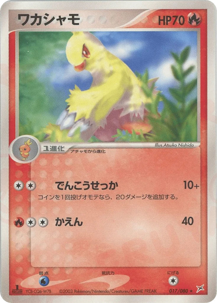 Combusken · Magma vs Aqua: Two Ambitions
