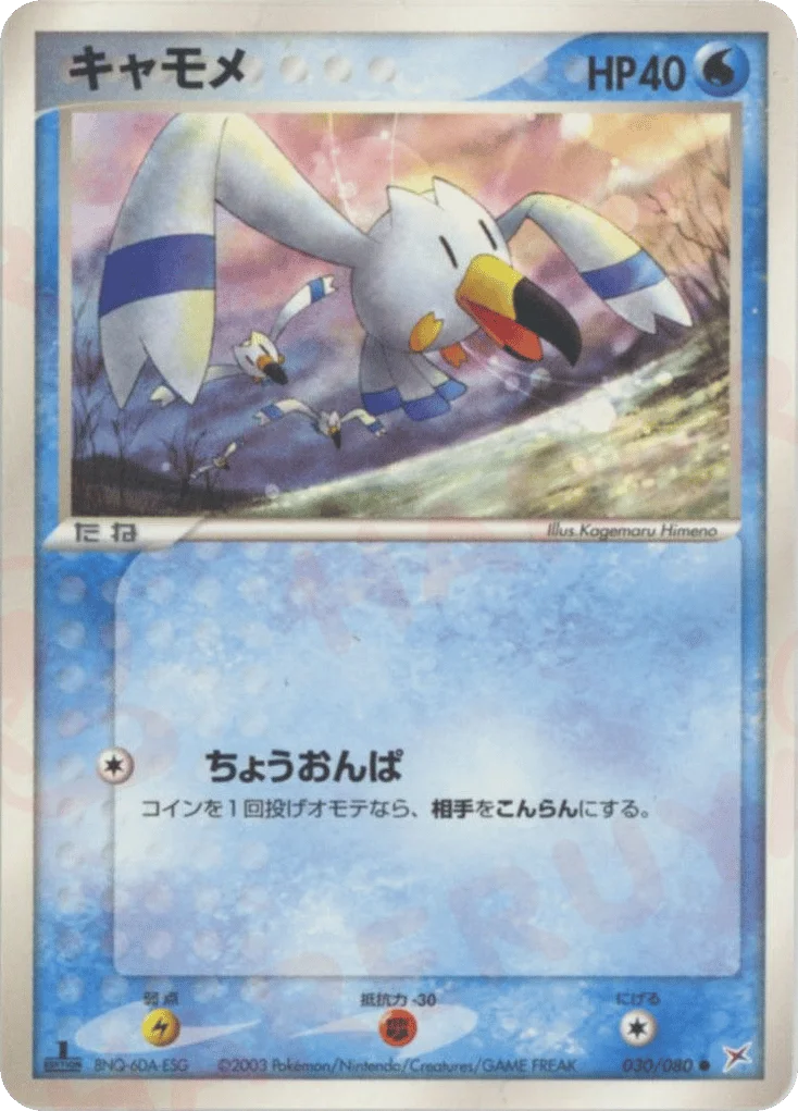 Wingull · Magma vs Aqua: Two Ambitions