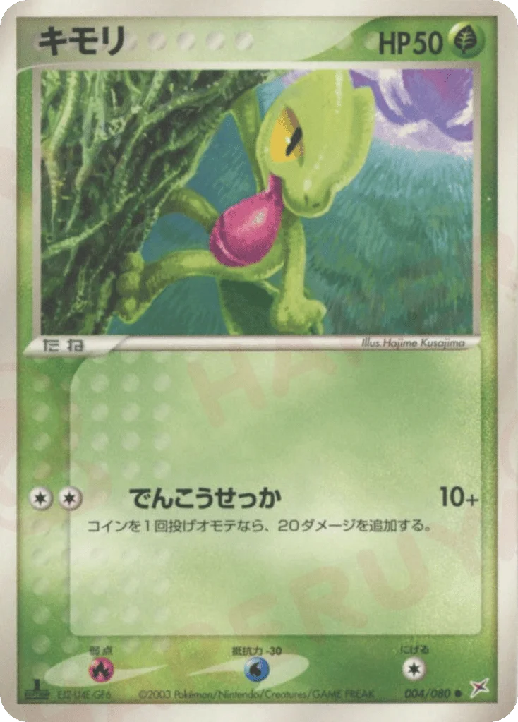 Treecko · Magma vs Aqua: Two Ambitions