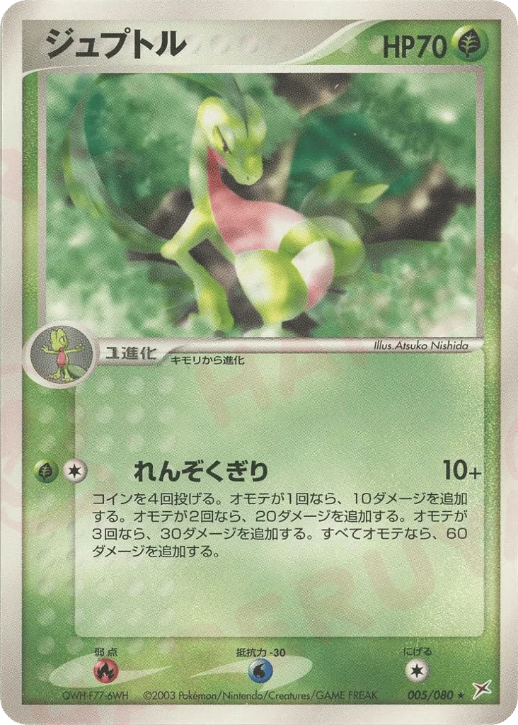 Grovyle · Magma vs Aqua: Two Ambitions