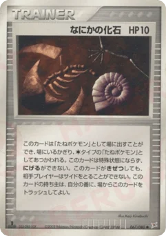 なにかの化石