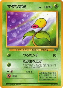 マダツボミ