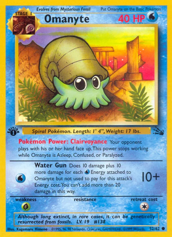Omanyte · Fossil
