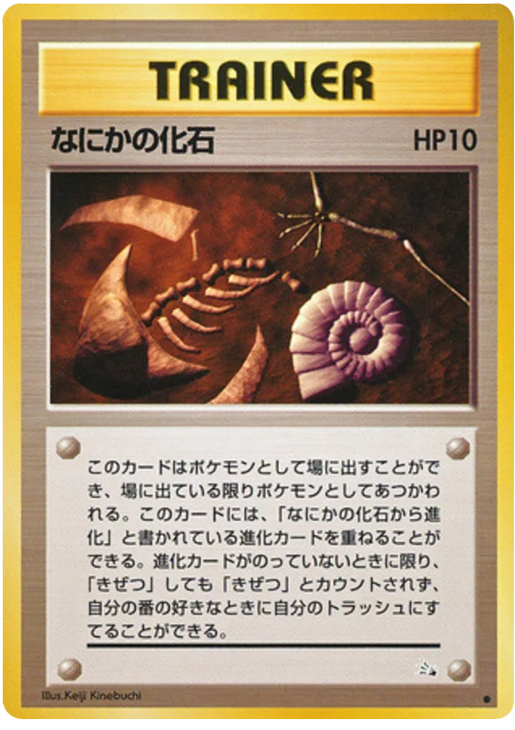 Mysterious Fossil · Mystery of the Fossils