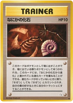 なにかの化石