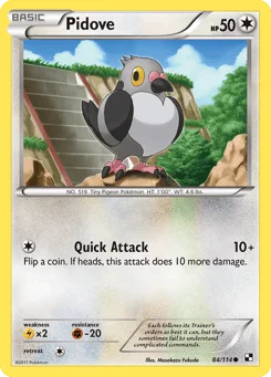 Pidove