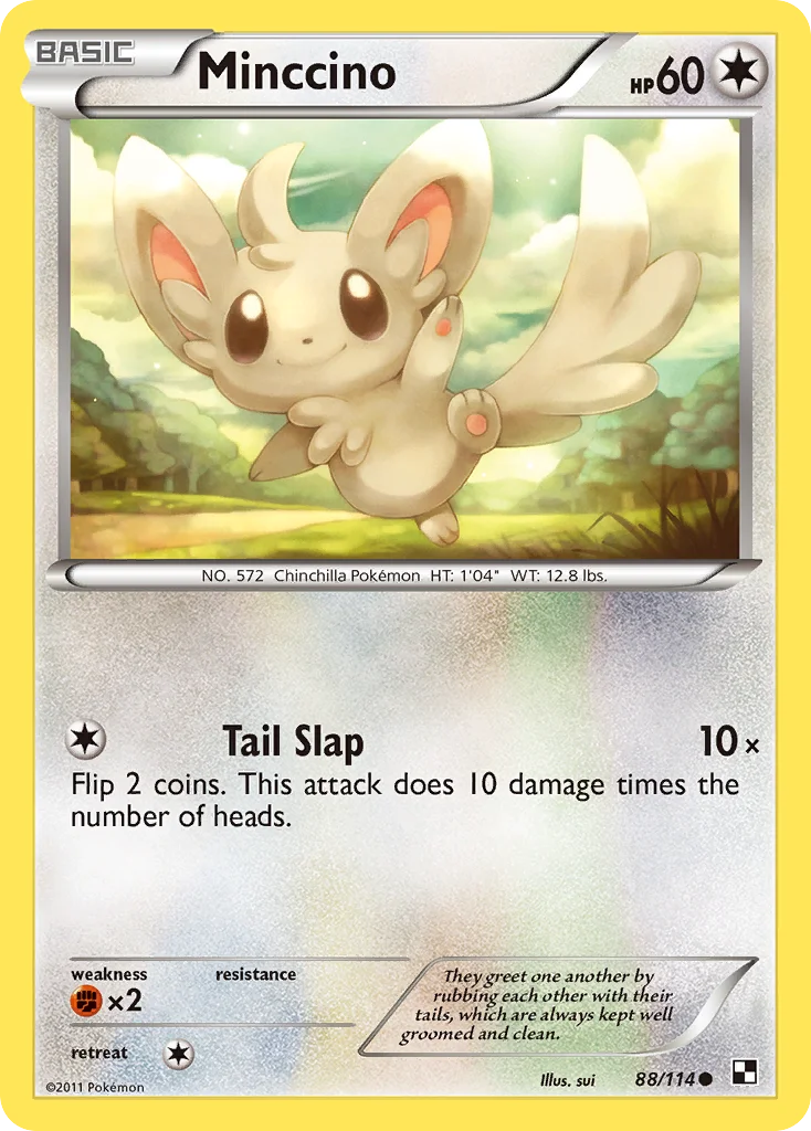Minccino · Black & White