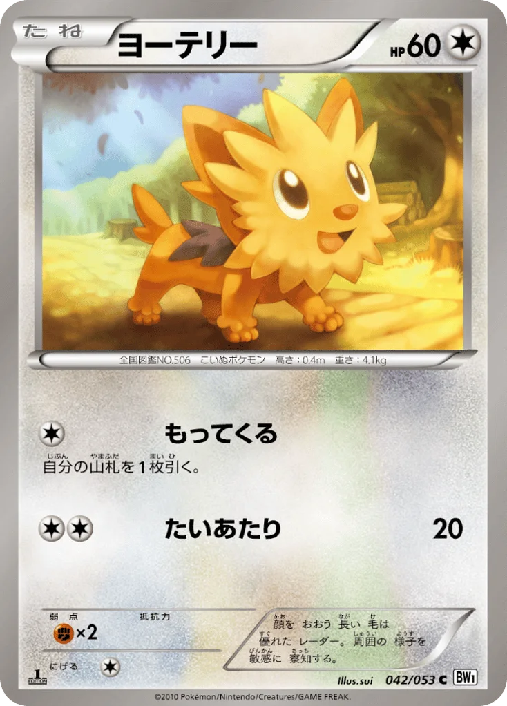 Lillipup · White Collection