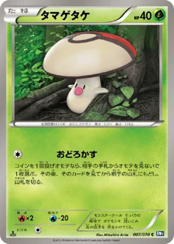 タマゲタケ