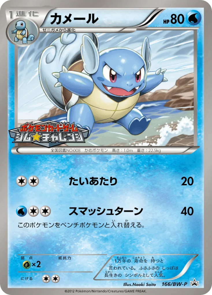 Wartortle · Black & White Promos