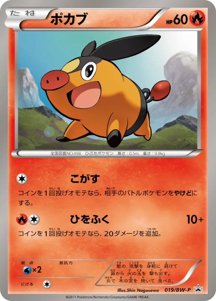 Tepig · Black & White Promos