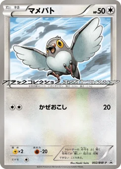 マメパト