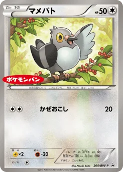 マメパト
