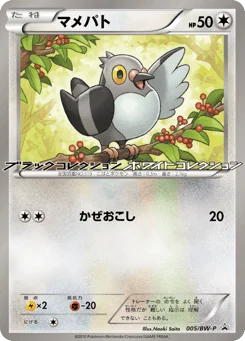 マメパト