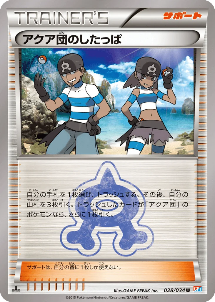 Team Aqua Grunt · Magma Gang VS Aqua Gang: Double Crisis