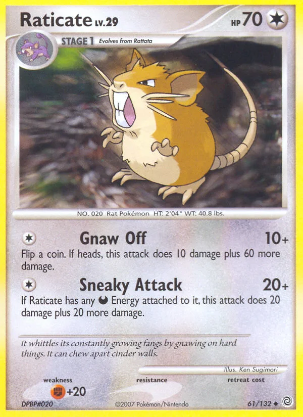 Raticate · Secret Wonders