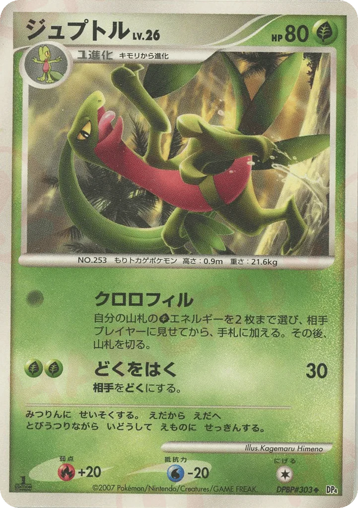 Grovyle · Dawn Dash