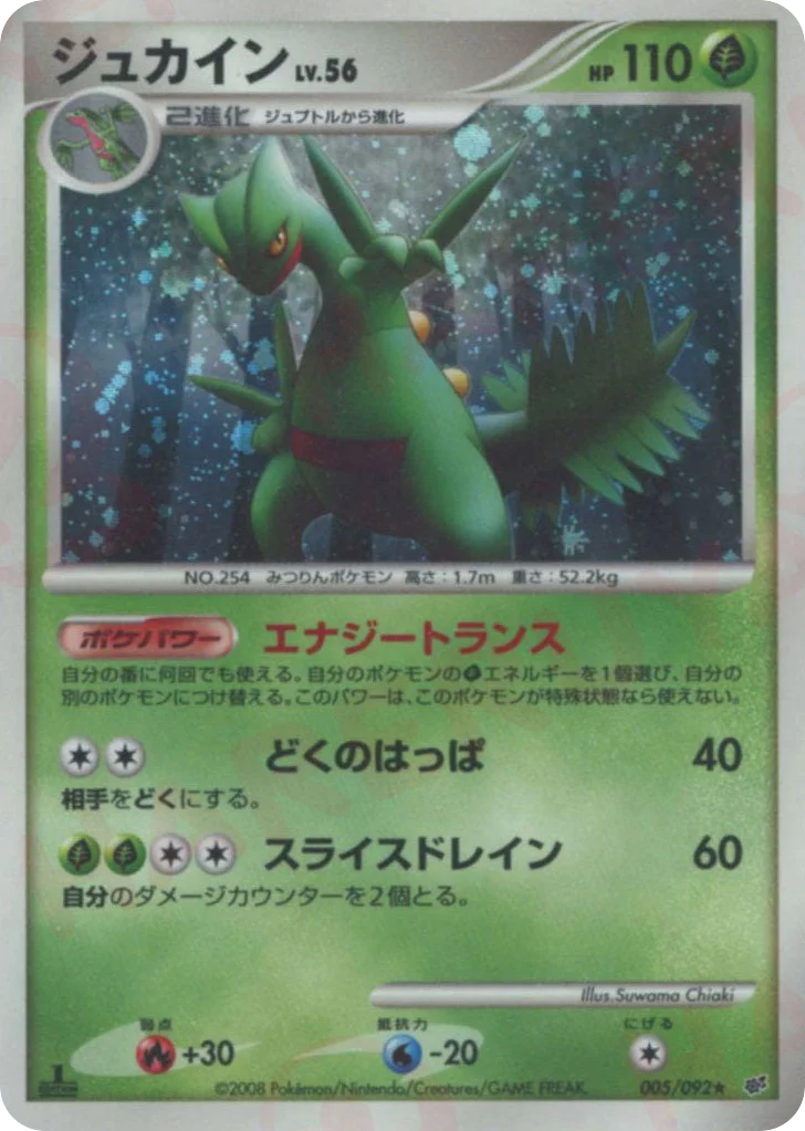 Sceptile · Intense Fight in the Destroyed Sky
